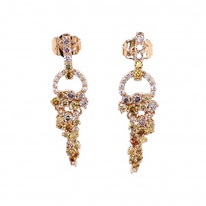 Earrings E13788