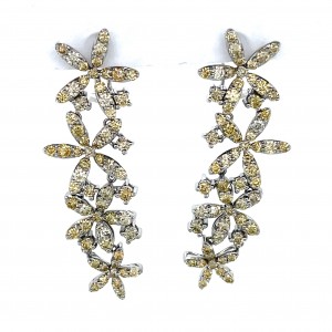 Earrings E14292