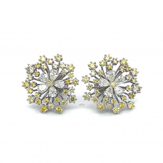 Earrings E14347